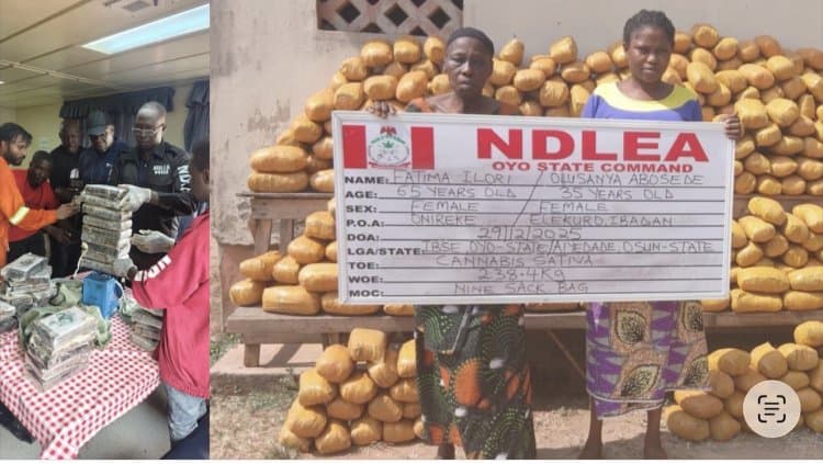 Witches In Shock As NDLEA Arrests 65-Year-Old Grandma Linked To Major Drug Supply Chain During Detty December